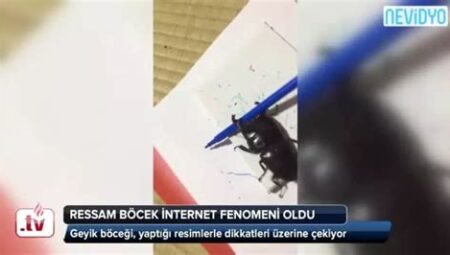 Haber Dünyasında Internet Fenomeni ve Son Dakika Üzerine Her Şey