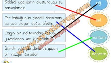 Hayat Dünyasında Doğal Yaşam ve Dostluk Üzerine Her Şey