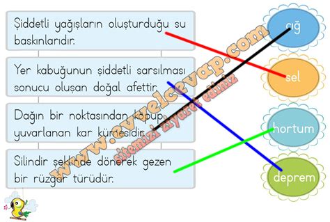 Hayat Dünyasında Doğal Yaşam ve Dostluk Üzerine Her Şey