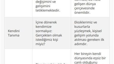 Hayat Dünyasında Farkındalık ve Rutin Üzerine Her Şey