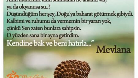 Hayat Dünyasında Farkındalık ve Yaşam Üzerine Her Şey