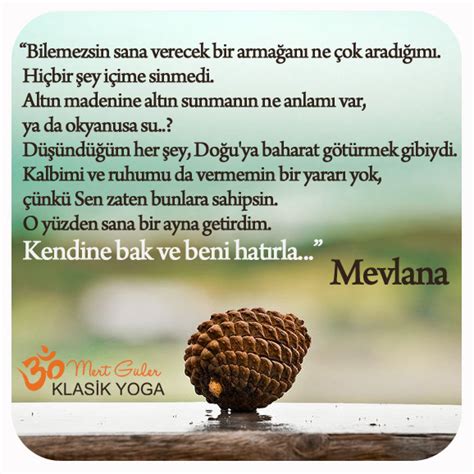 Hayat Dünyasında Farkındalık ve Yaşam Üzerine Her Şey