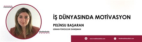 Hayat Dünyasında Motivasyon ve Ilişki Üzerine Her Şey